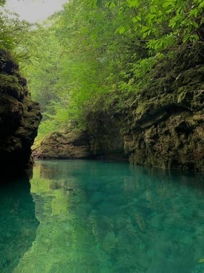 Nahei Cottage Мартвілі Екстер'єр фото