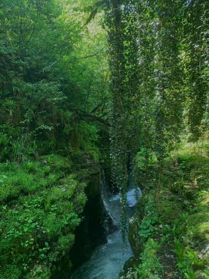 Nahei Cottage Мартвілі Екстер'єр фото